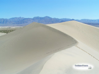 Desert Dunes