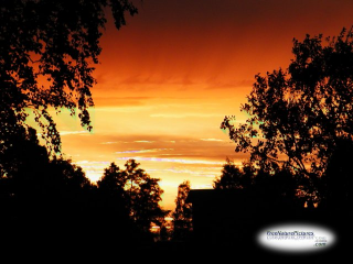 Sunset and Silhouette