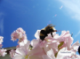 Bumble Bee
