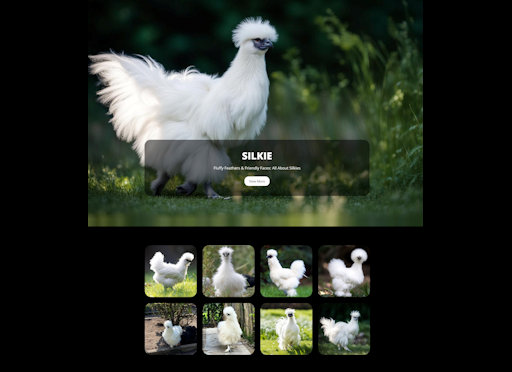 Silkie Template