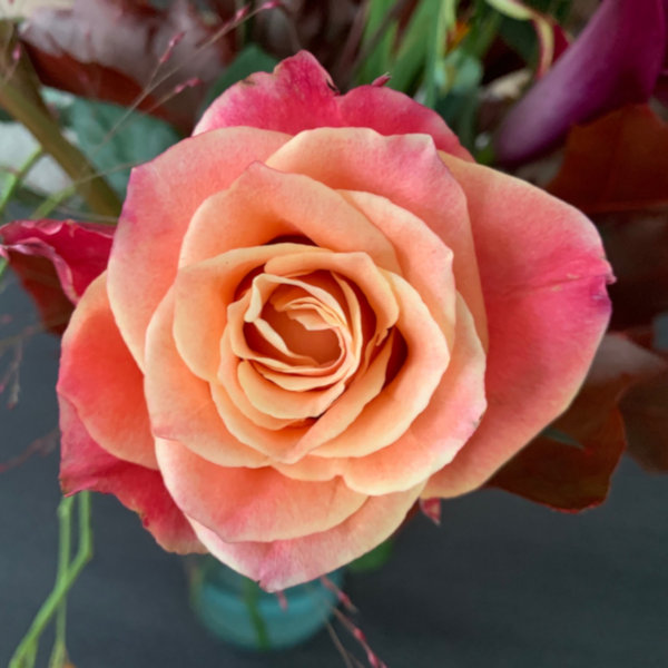 Flower 1
