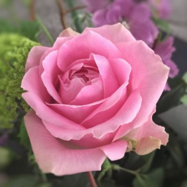 Flower 4
