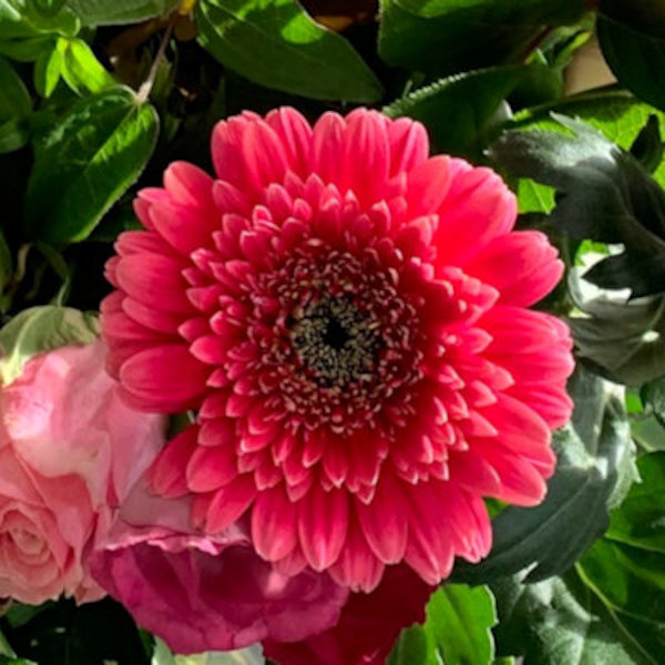 Flower 18