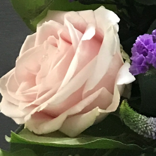 Flower 11